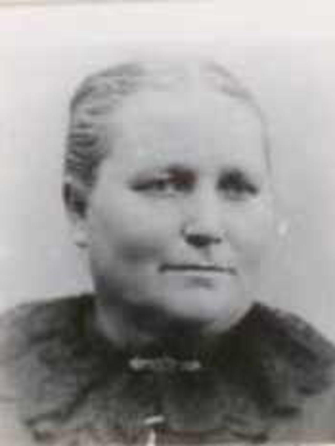Anne Hannah Draper (1843 - 1918) Profile